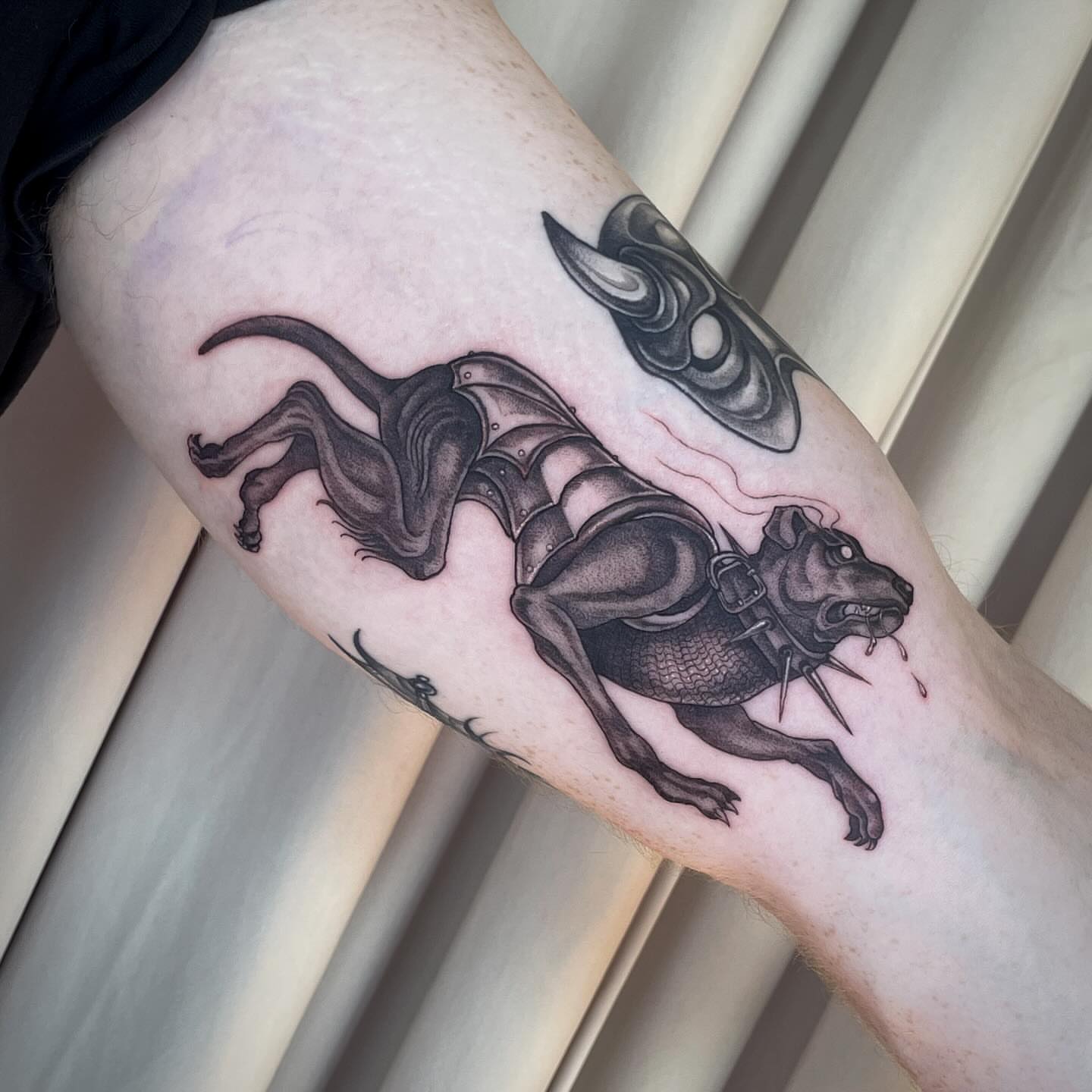 Dog with spiked collar black and grey tattoo on the forearm by 𝖂𝖍𝖆𝖙𝕽𝖊𝖎𝖑𝖊𝖞