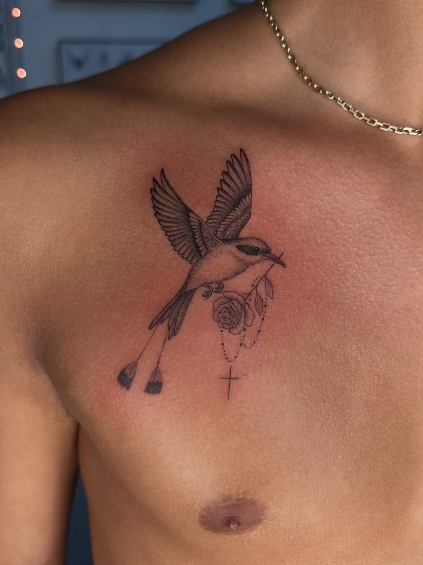 Bird and rose black and grey tattoo on the chest by Piccolino, Cambridge, Massachusetts