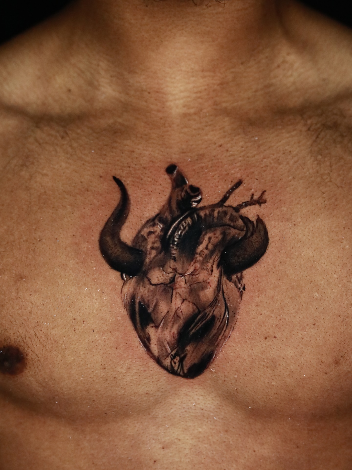 Anatomical heart realism tattoo on the chest by memo