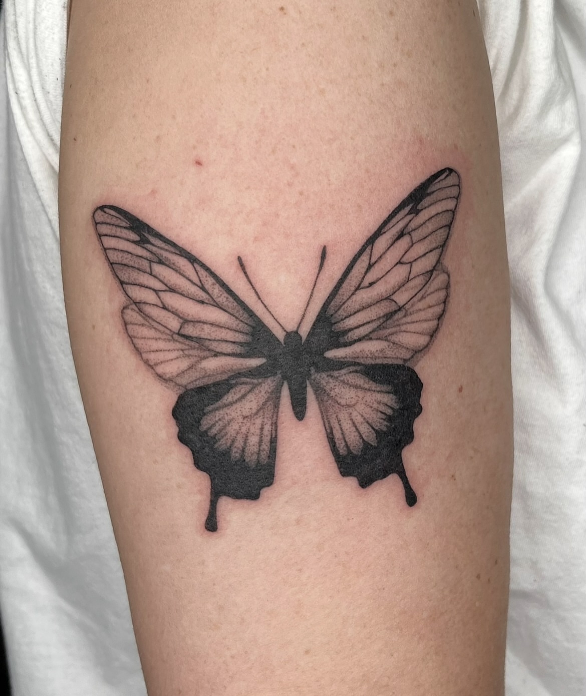 Butterfly black and grey tattoo on the forearm by ✩gracie ⋆｡°✩