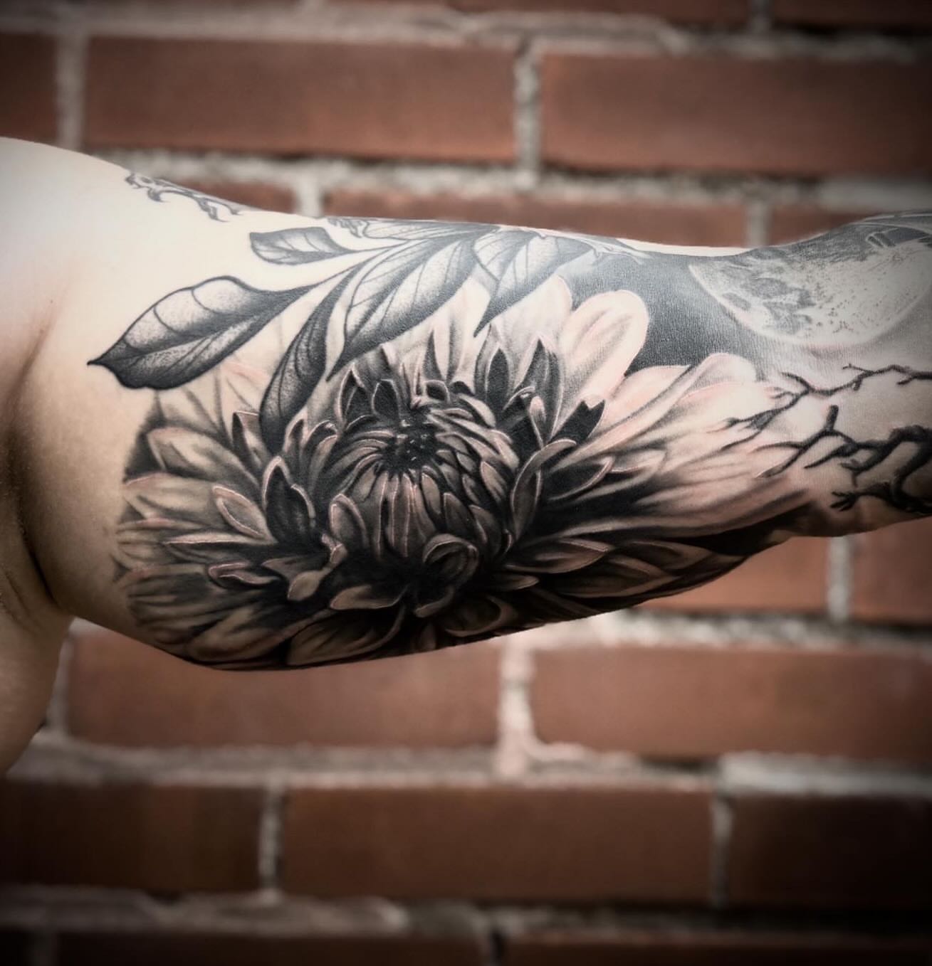 Chrysanthemum black and grey tattoo on the forearm by Blake Van Vleck