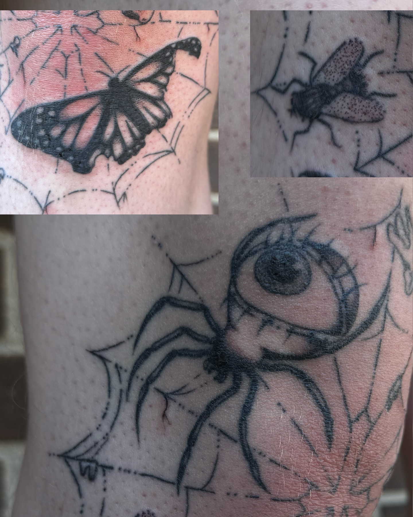 Spider web dotwork tattoo on the forearm by Milo