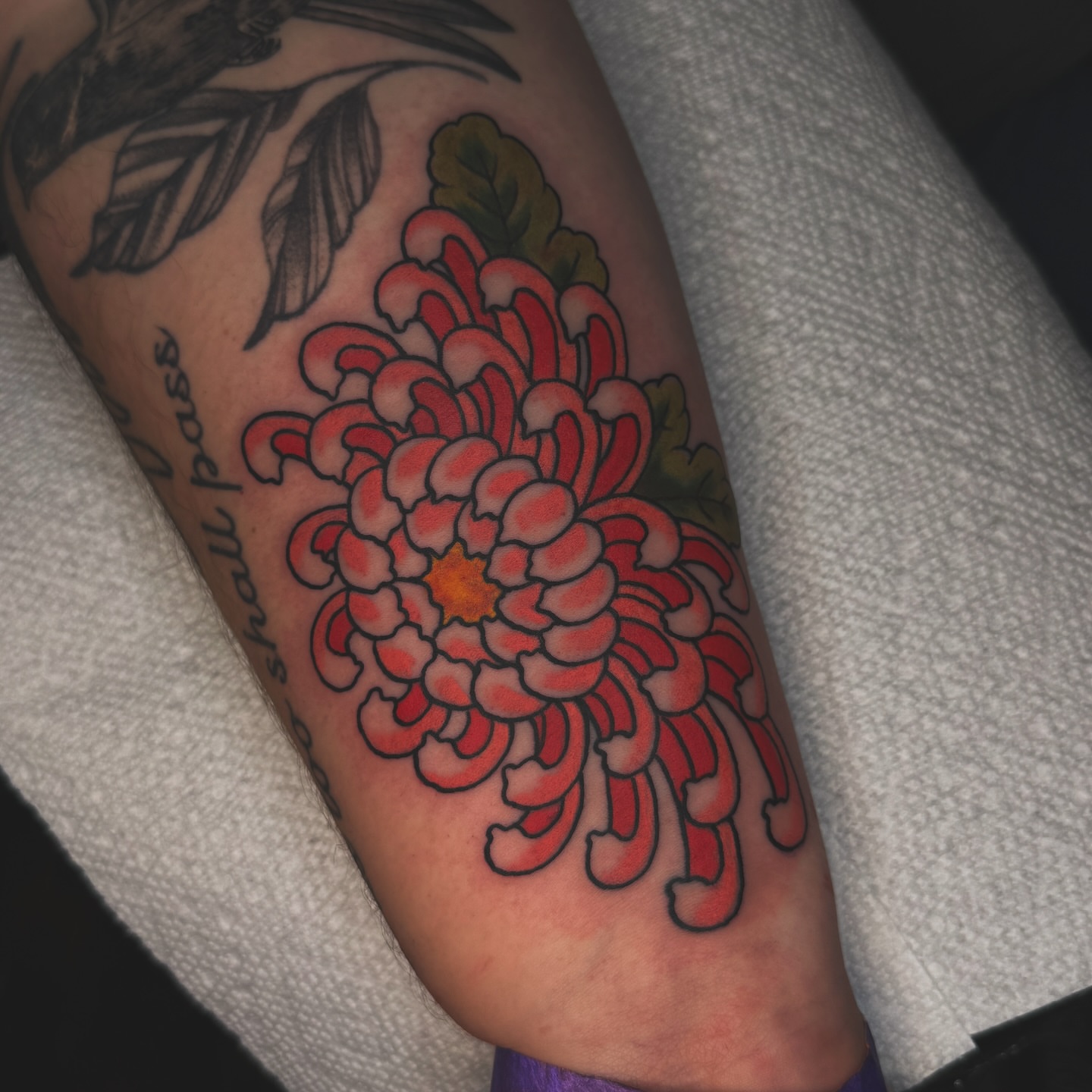 Chrysanthemum japanese irezumi tattoo on the forearm by Liz Mercer ★ Tattooer - Raleigh NC