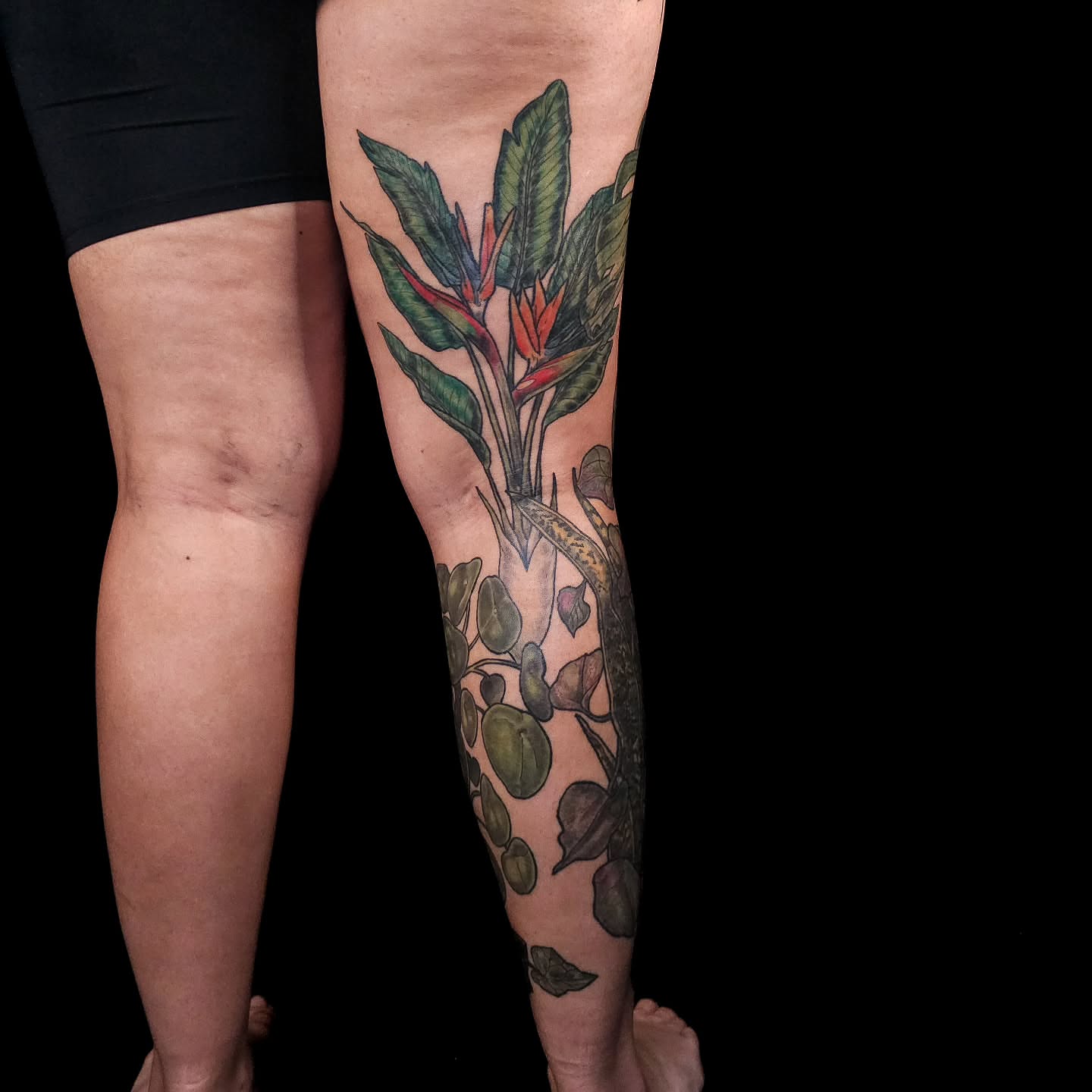 Bird of paradise plant realism tattoo on the calf by Eva the Tattoo Fartist in Seattle, WA, Seattle, Washington