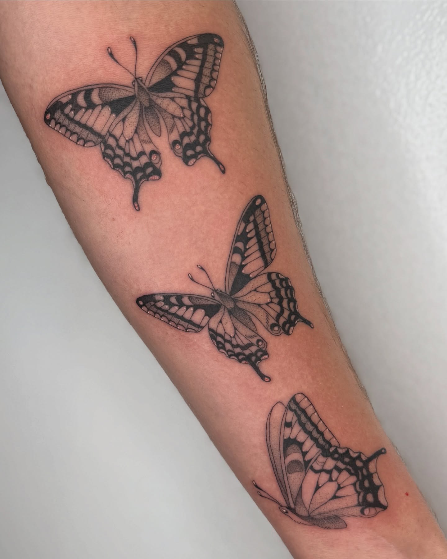 Tattoo by @deerbatstats — black_and_grey