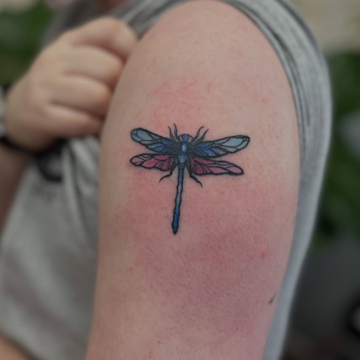 Dragonfly realism tattoo on the shoulder by Garden Glow Tattoo