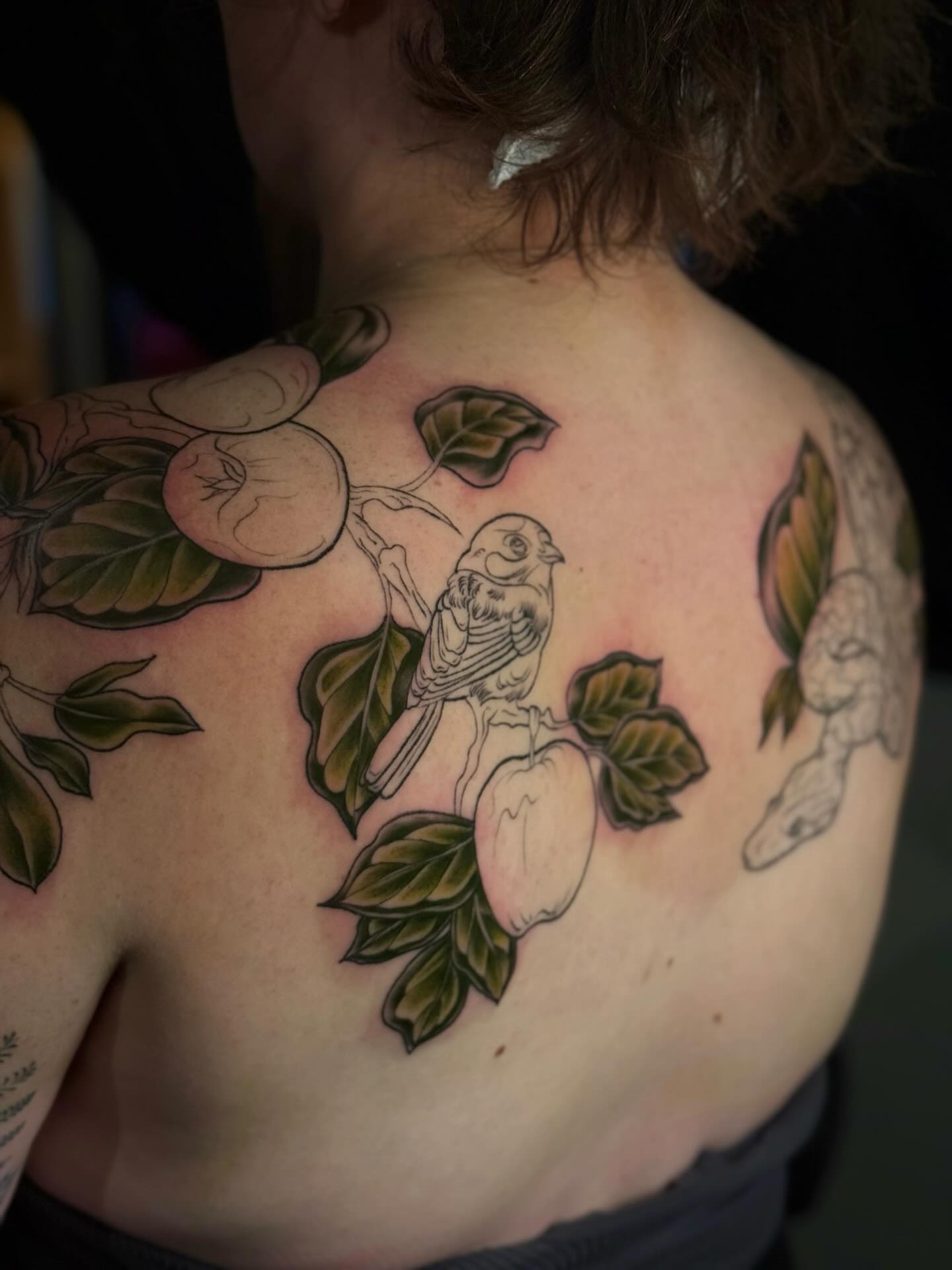 Tattoo by @kassidilla_tattoos — american_traditional