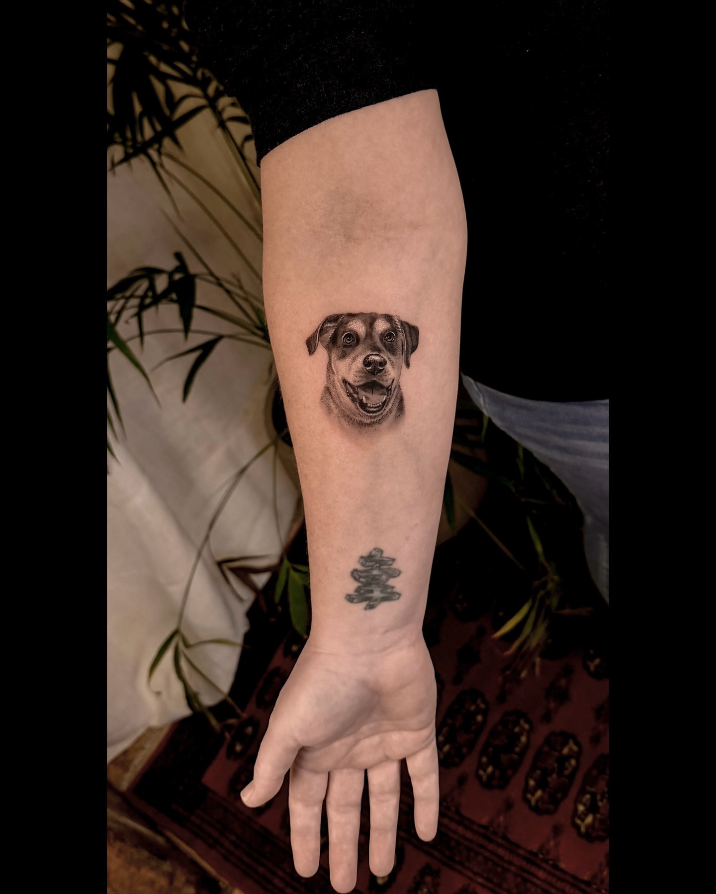 Dog portrait realism tattoo on the forearm by Nicholas Solomon