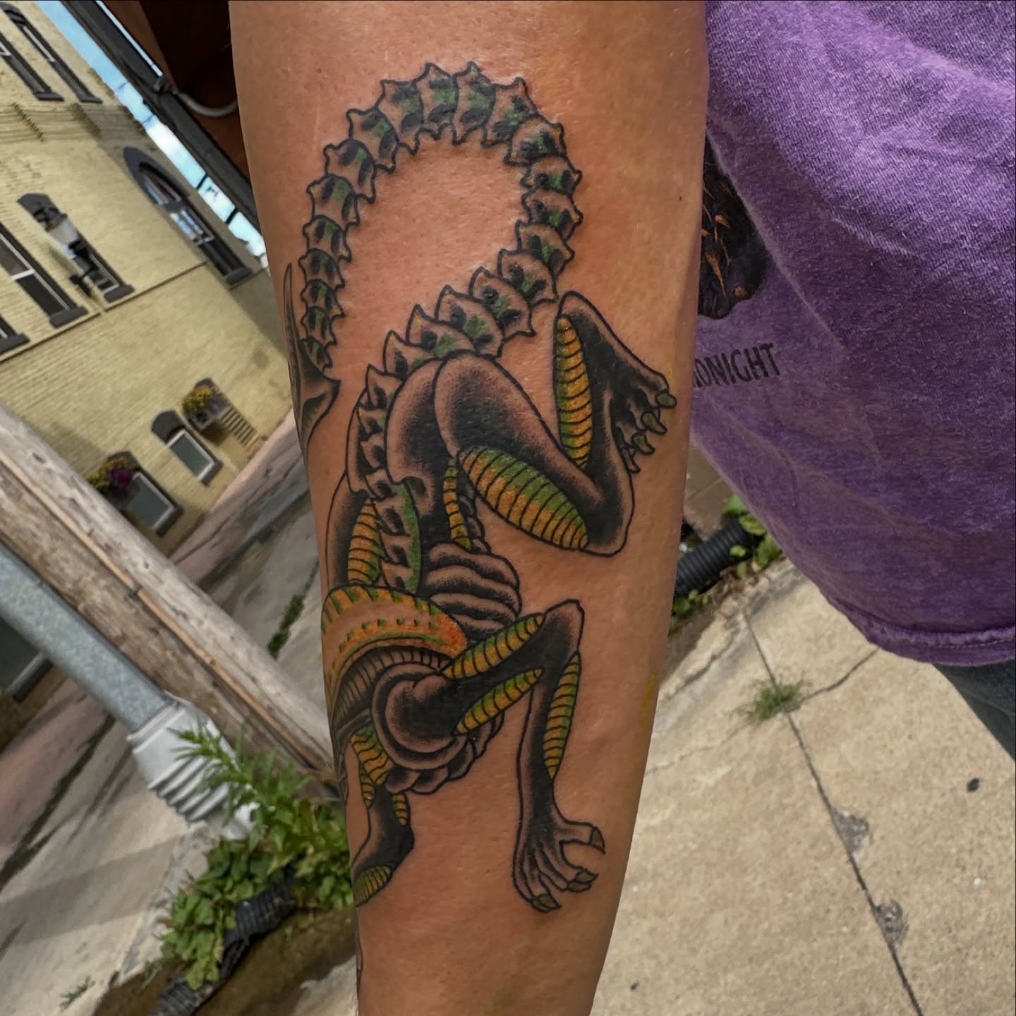 Tattoo by @sethgurdtattoo — american_traditional