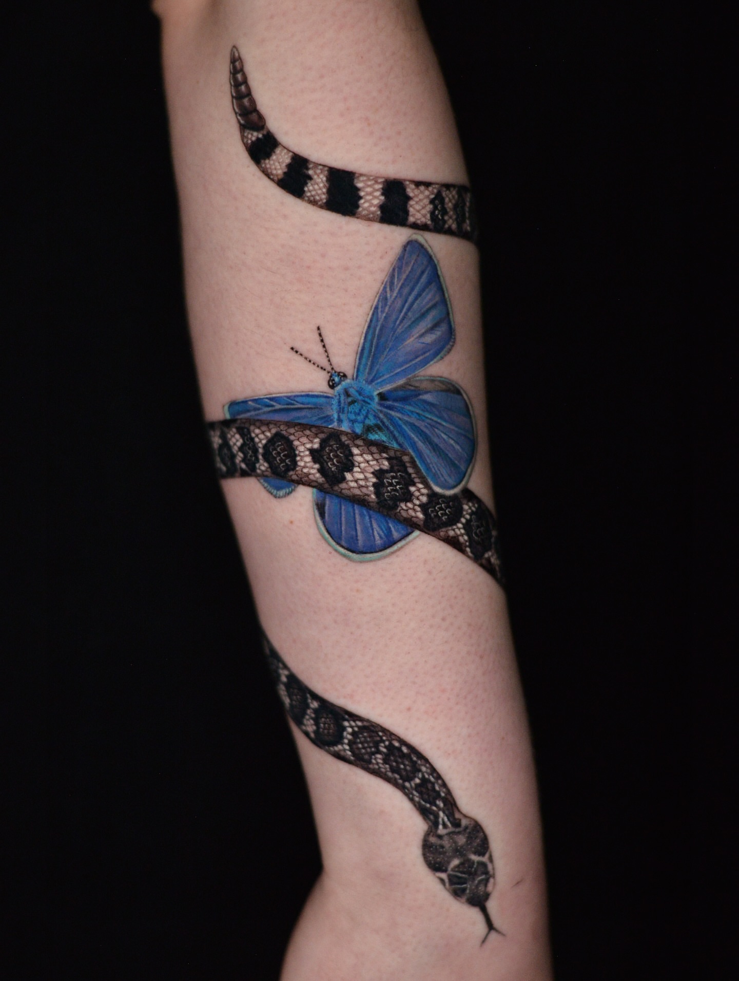 Snake and butterfly realism tattoo on the forearm by Jules, Arlington, Texas