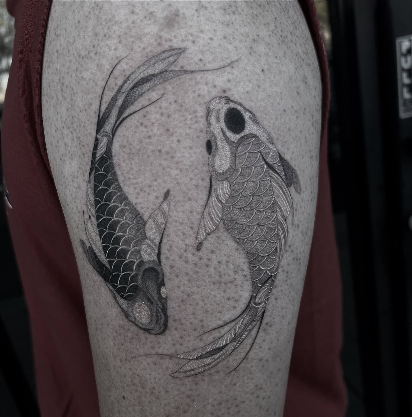 Koi fish dotwork tattoo on the upper arm by Joshua Hung, Alhambra, California