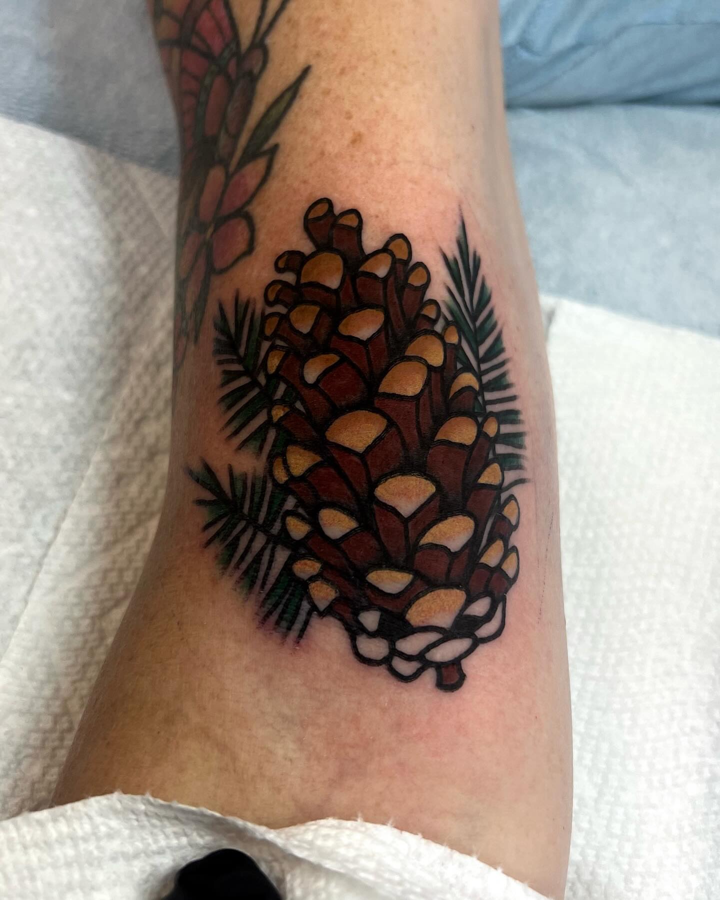 Pinecone realism tattoo on the forearm by 💧cry Bby💧