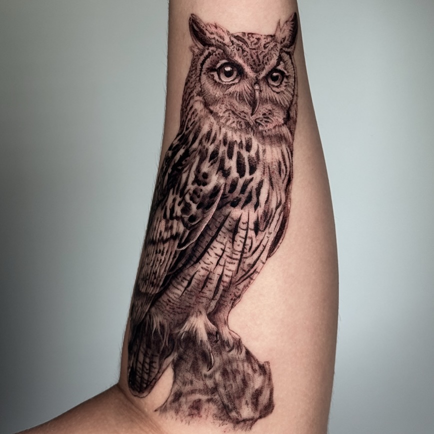 Owl realism tattoo on the forearm by Brisia Cisneros