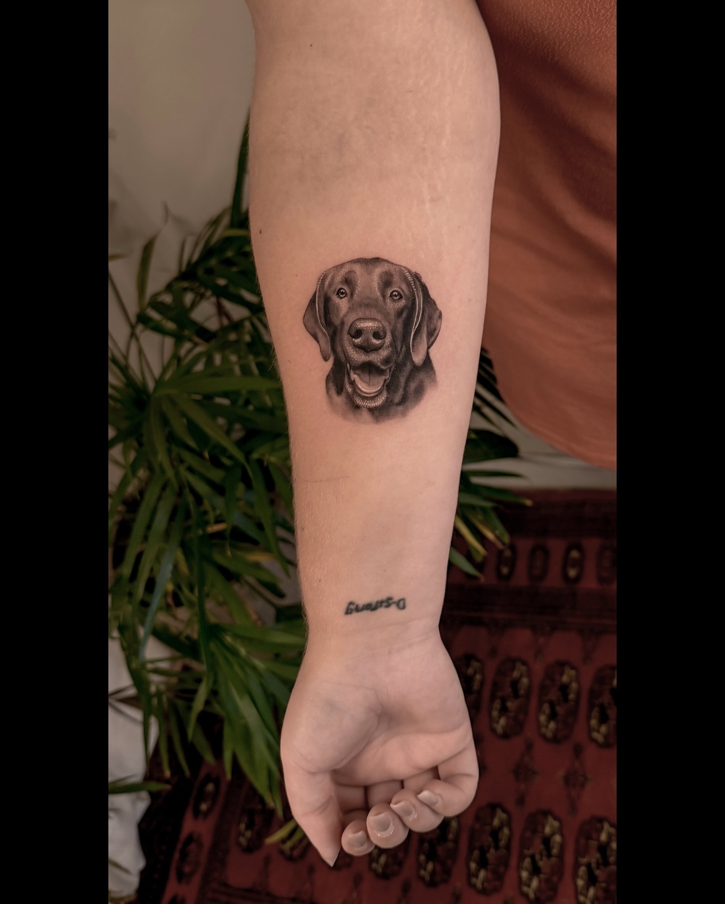 Dog realism tattoo on the forearm by Nicholas Solomon