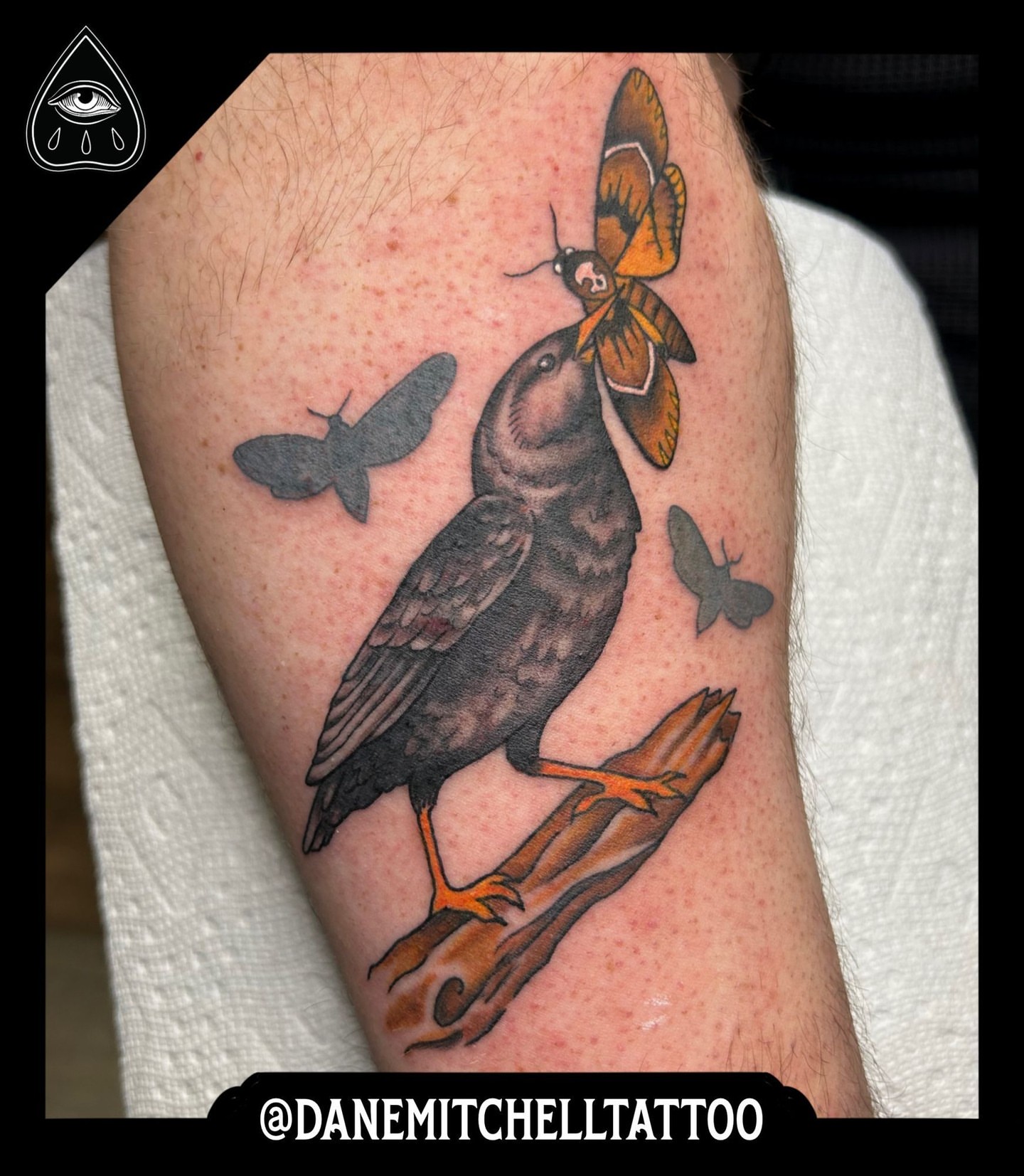 Tattoo by @danemitchelltattoo — american_traditional, realism