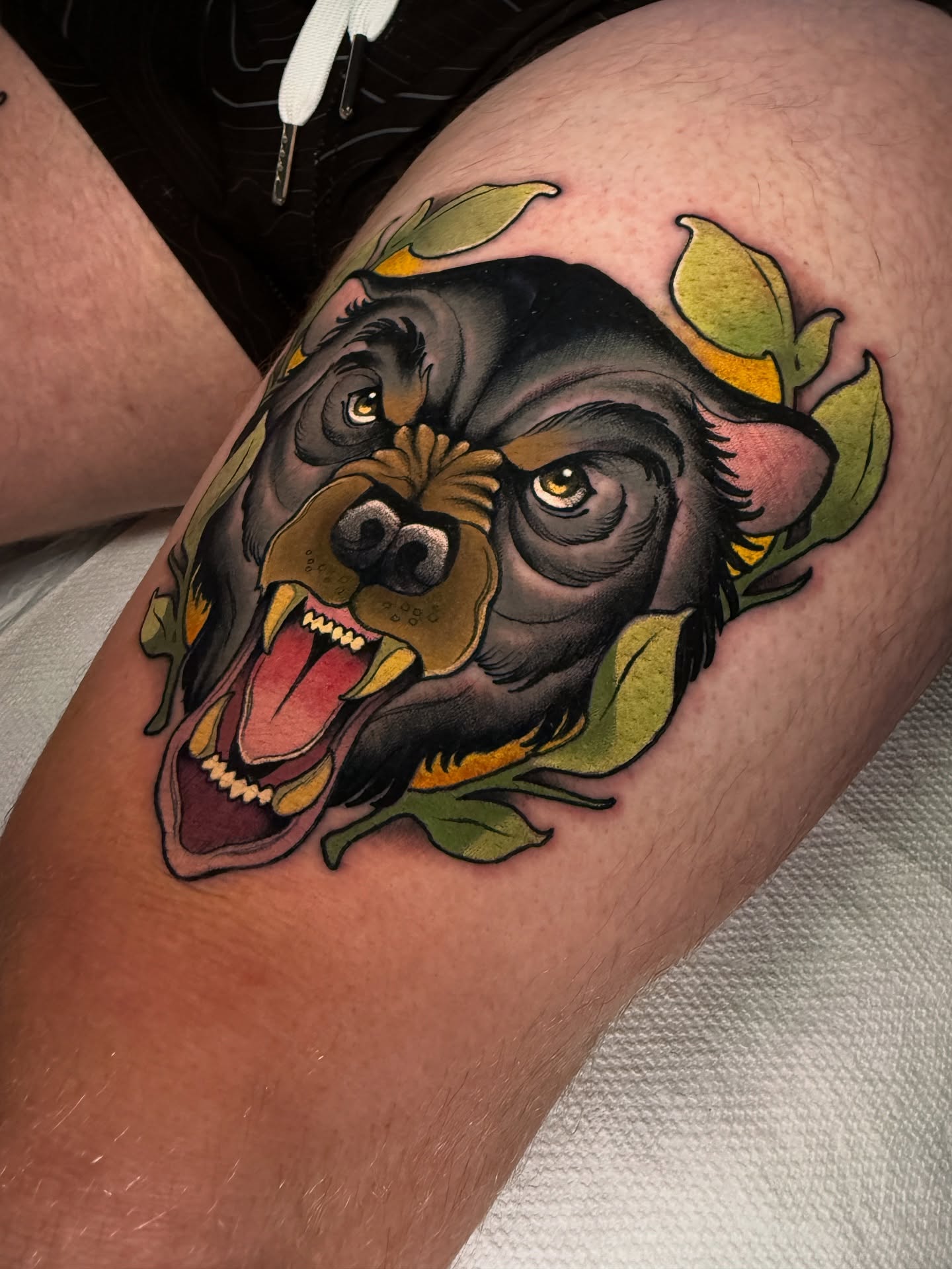 Rottweiler American traditional tattoo on the thigh by Neotrav Tattoos