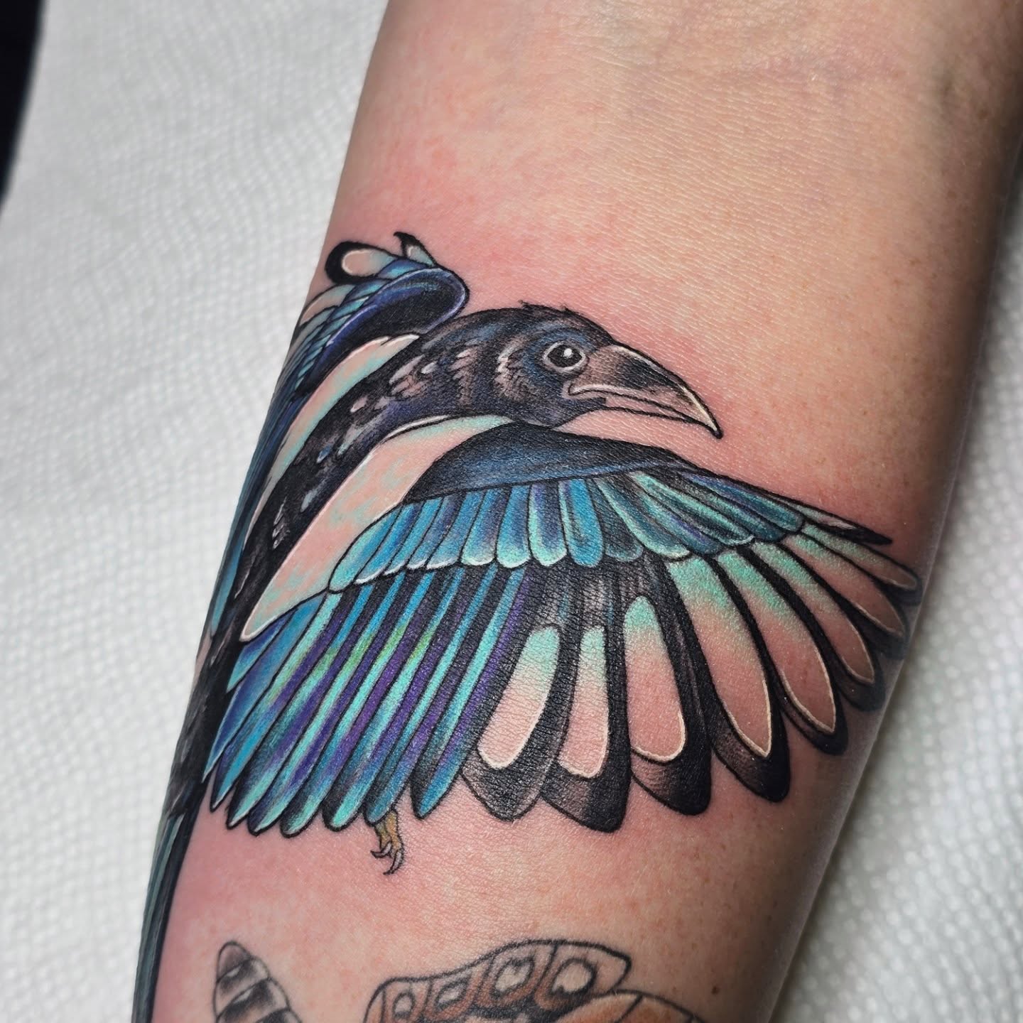 Tattoo by @molly.tattoos — realism