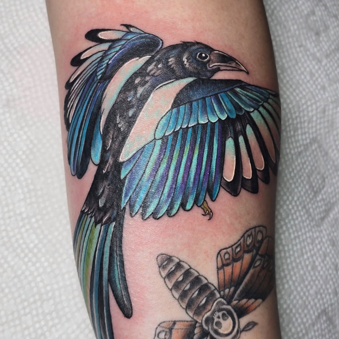 Tattoo by @molly.tattoos — american_traditional