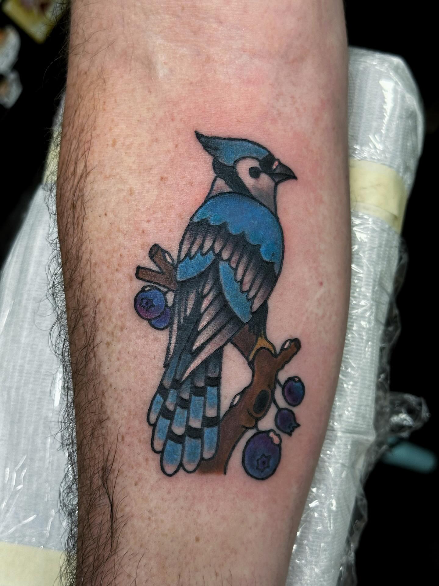 Blue jay realism tattoo on the forearm by Elizabeth Tabler