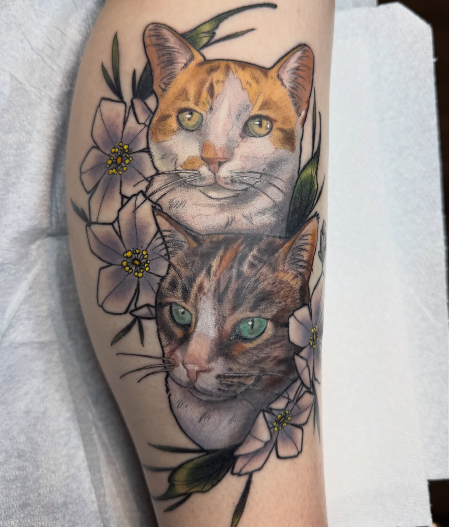 Cats and flowers realism tattoo on the forearm by Erin Bratzler