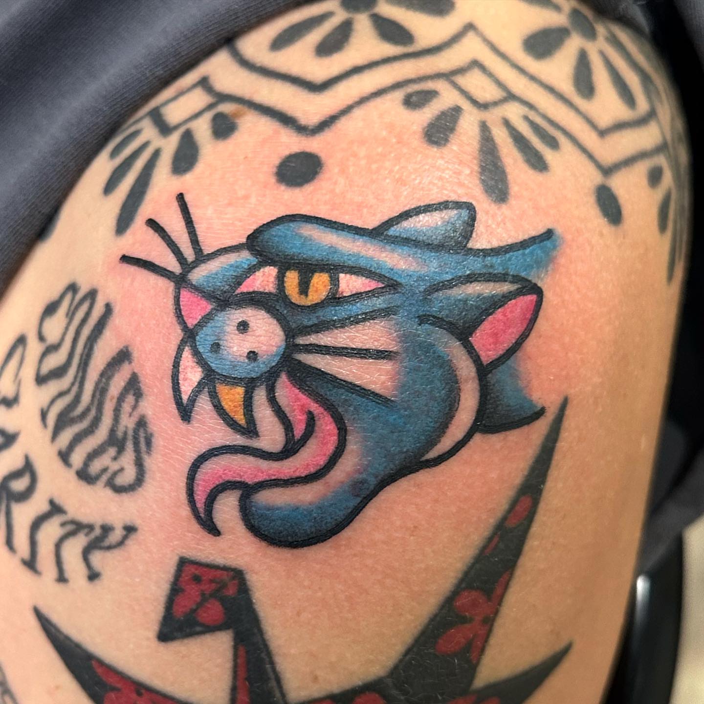 Tom cat American traditional tattoo on the shoulder by Alexa Wolfkiel
