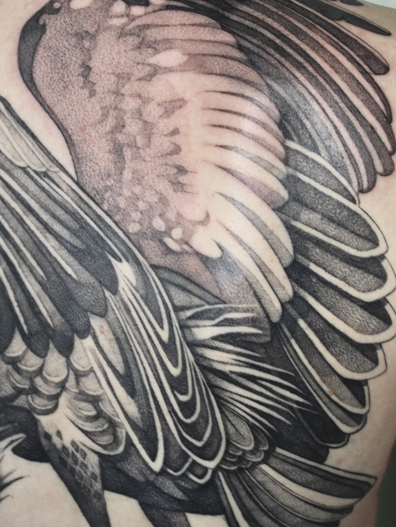 Tattoo by @jesskuesperttattoo β black_and_grey