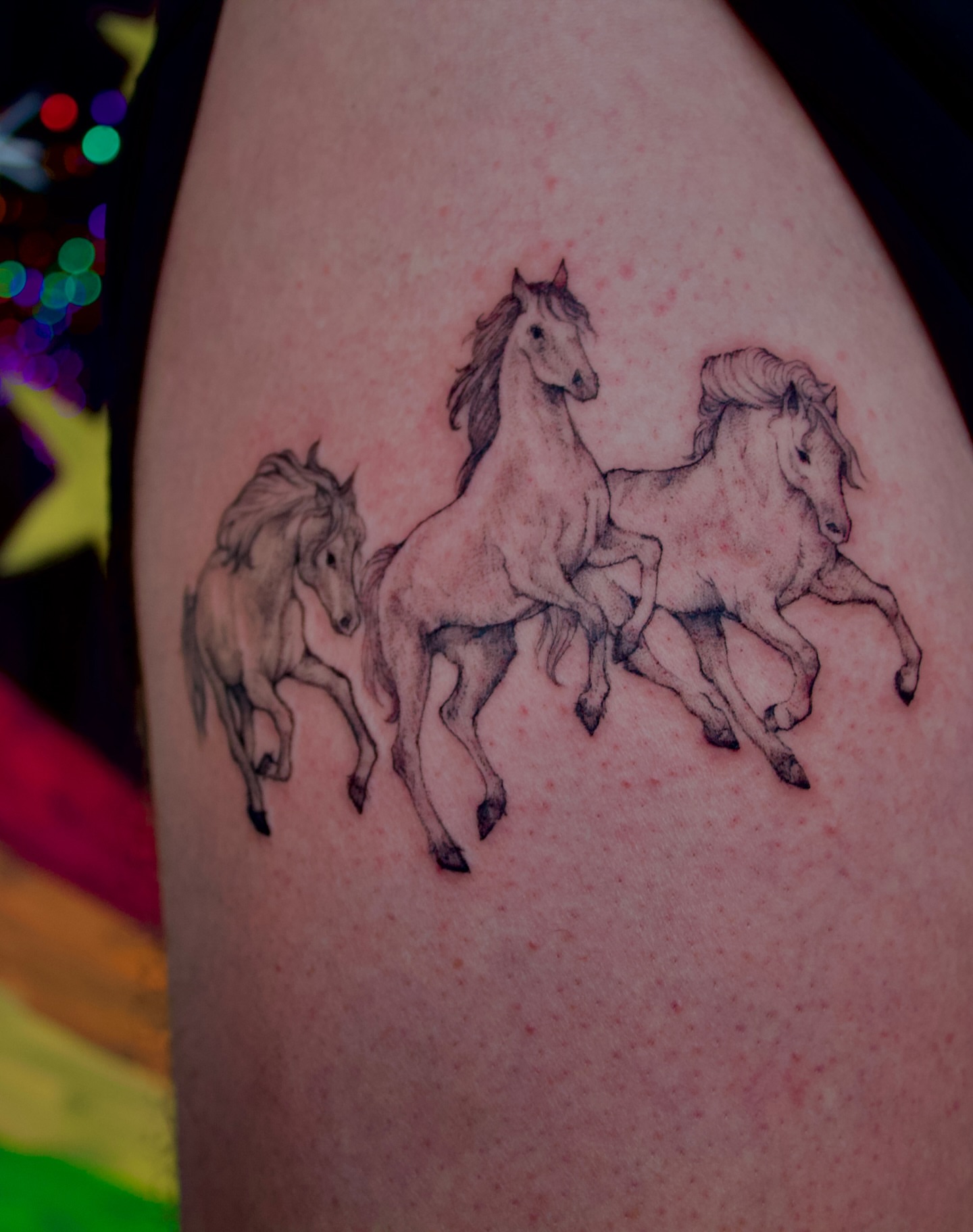 Horses black and grey tattoo on the thigh by ✧Lee Ortiz