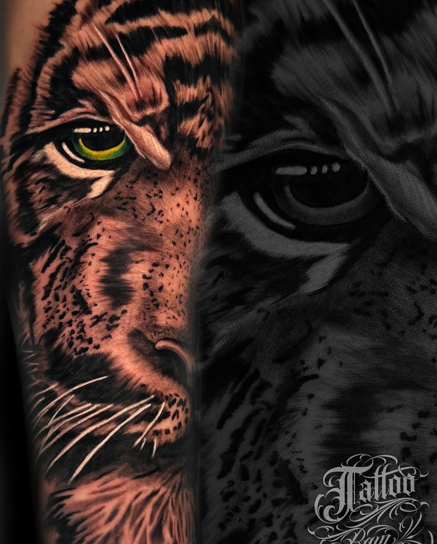 Tiger realism tattoo on the forearm by Tattoo Bam Bam