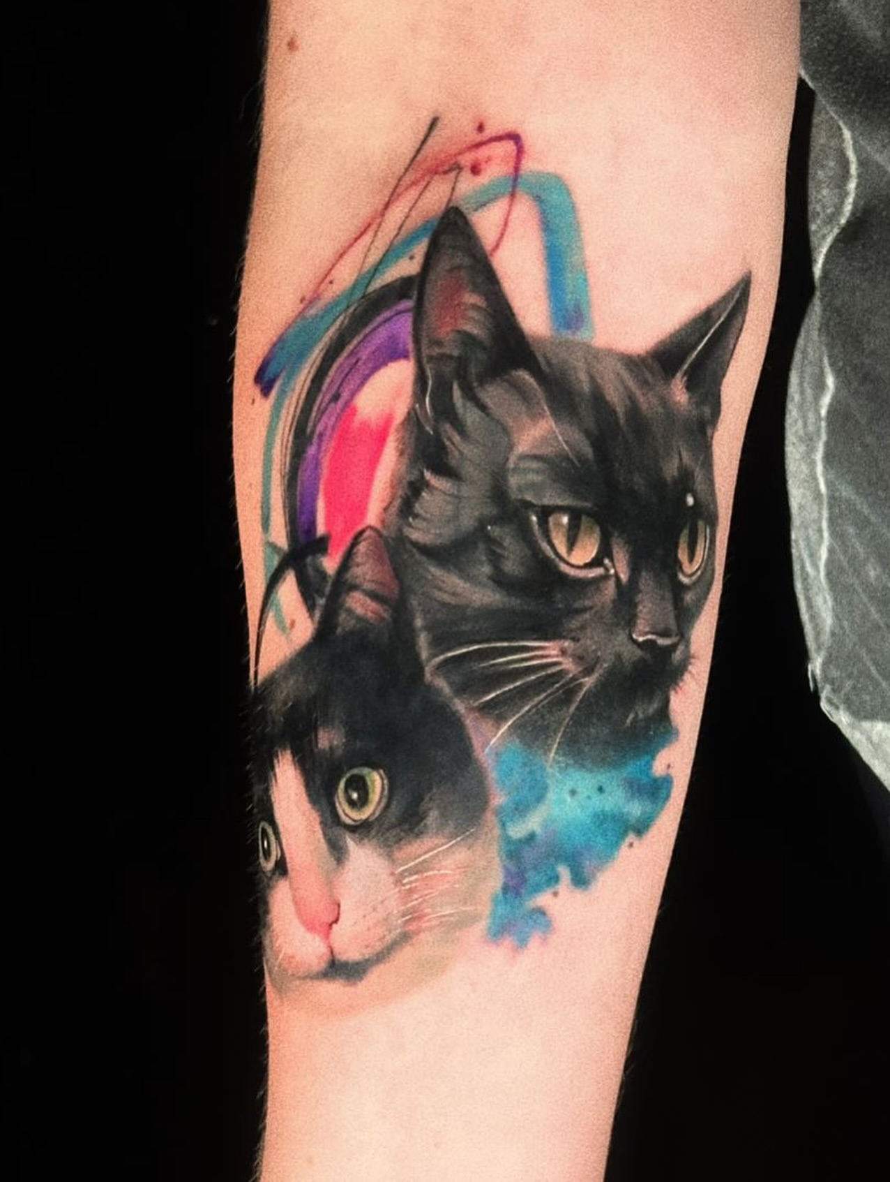 Cats watercolor tattoo on the forearm by Alice Li, Houston, Texas