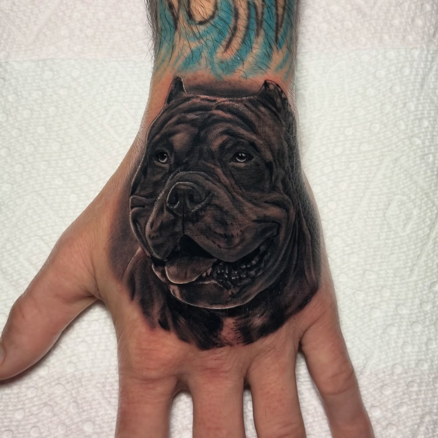 Bulldog realism tattoo on the hand by Tiffany Bauer