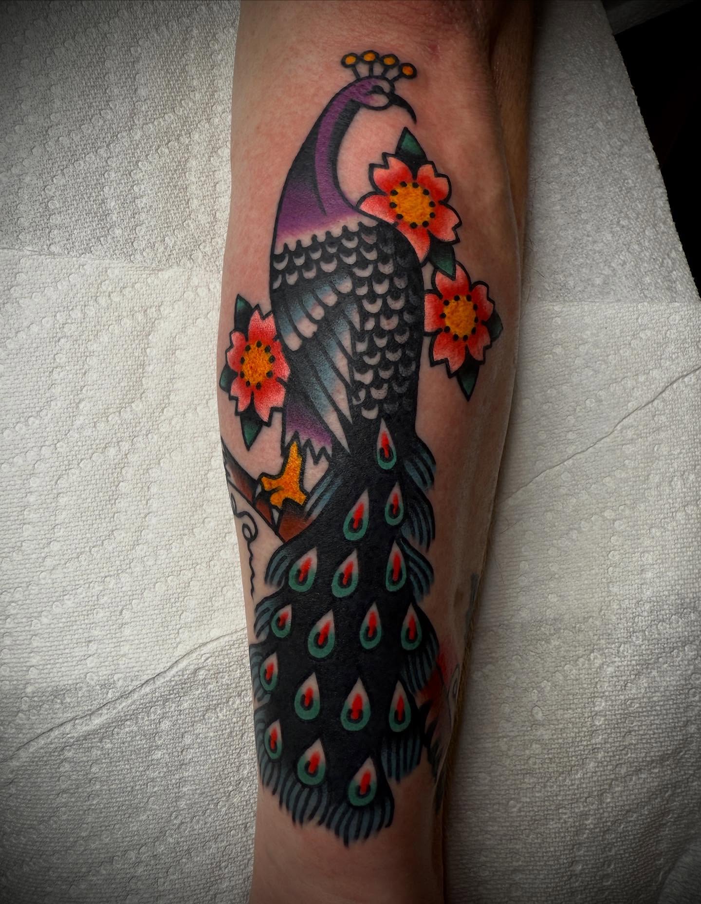 Peacock American traditional tattoo on the forearm by Tristan Bradshaw