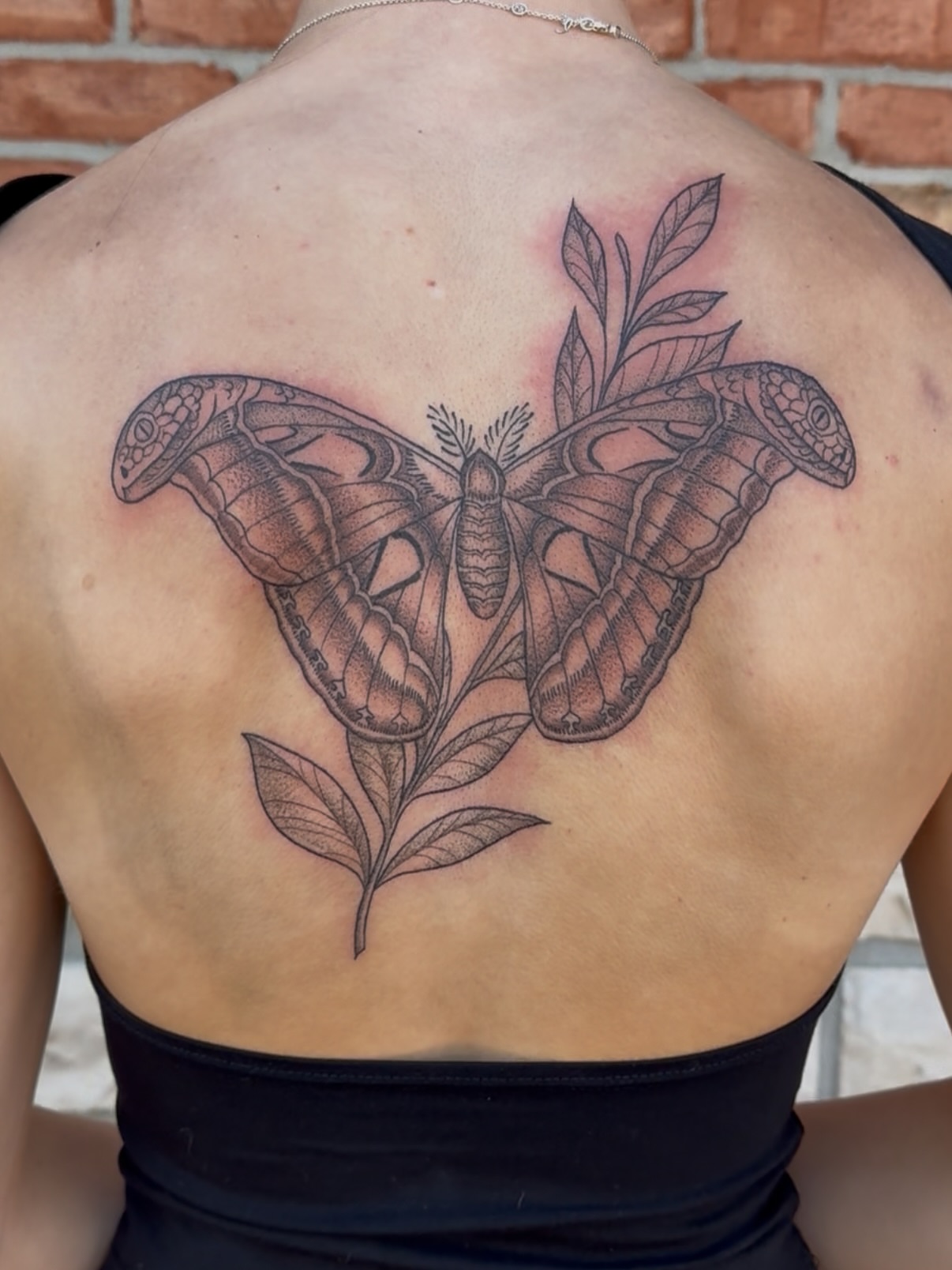 Butterfly black and grey tattoo on the back by Tina Petrullo, West Chester Township, Butler County, Ohio