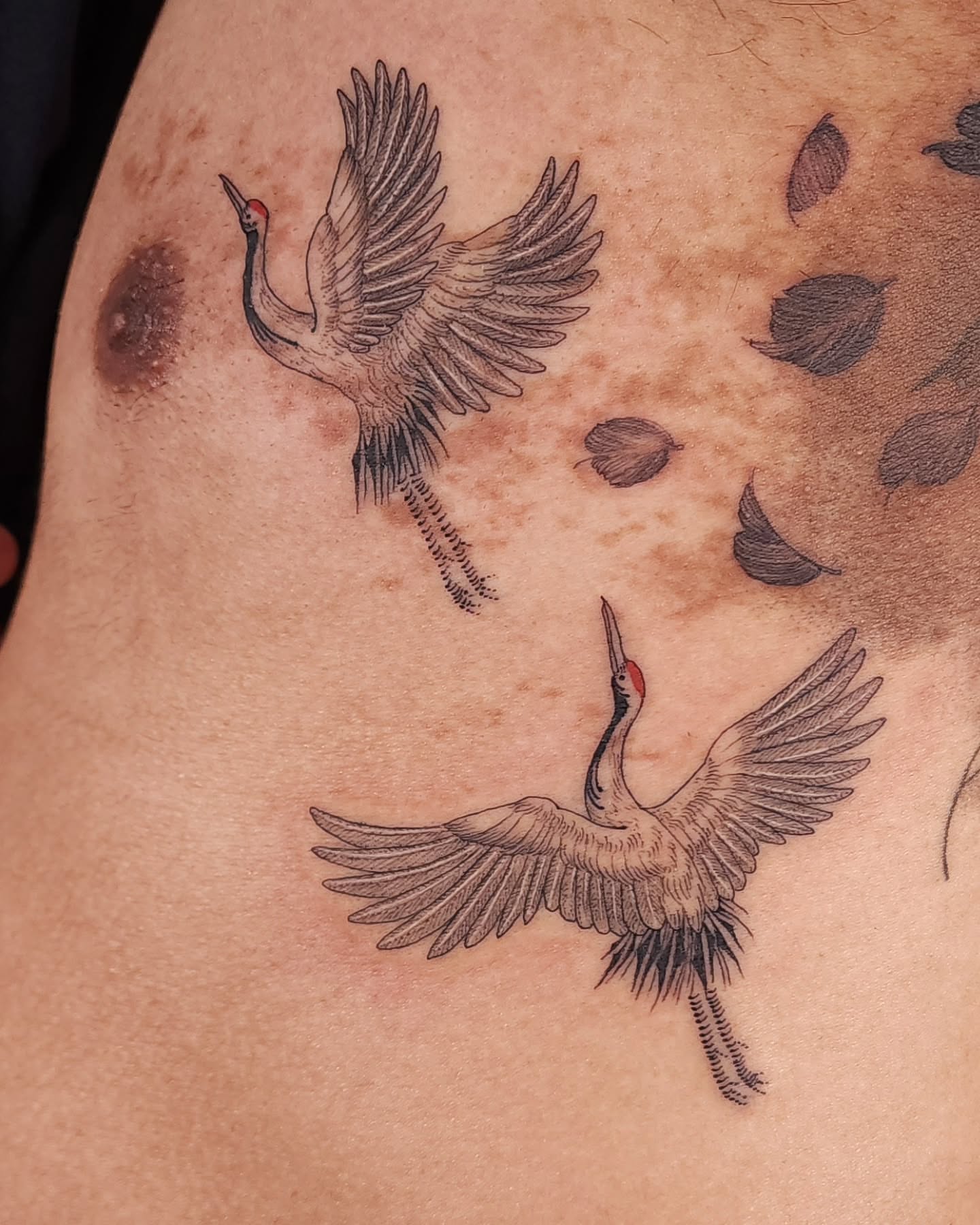 Cranes black and grey tattoo on the thigh by ๐ฏ๐๐๐๐ ๐ท๐๐๐๐