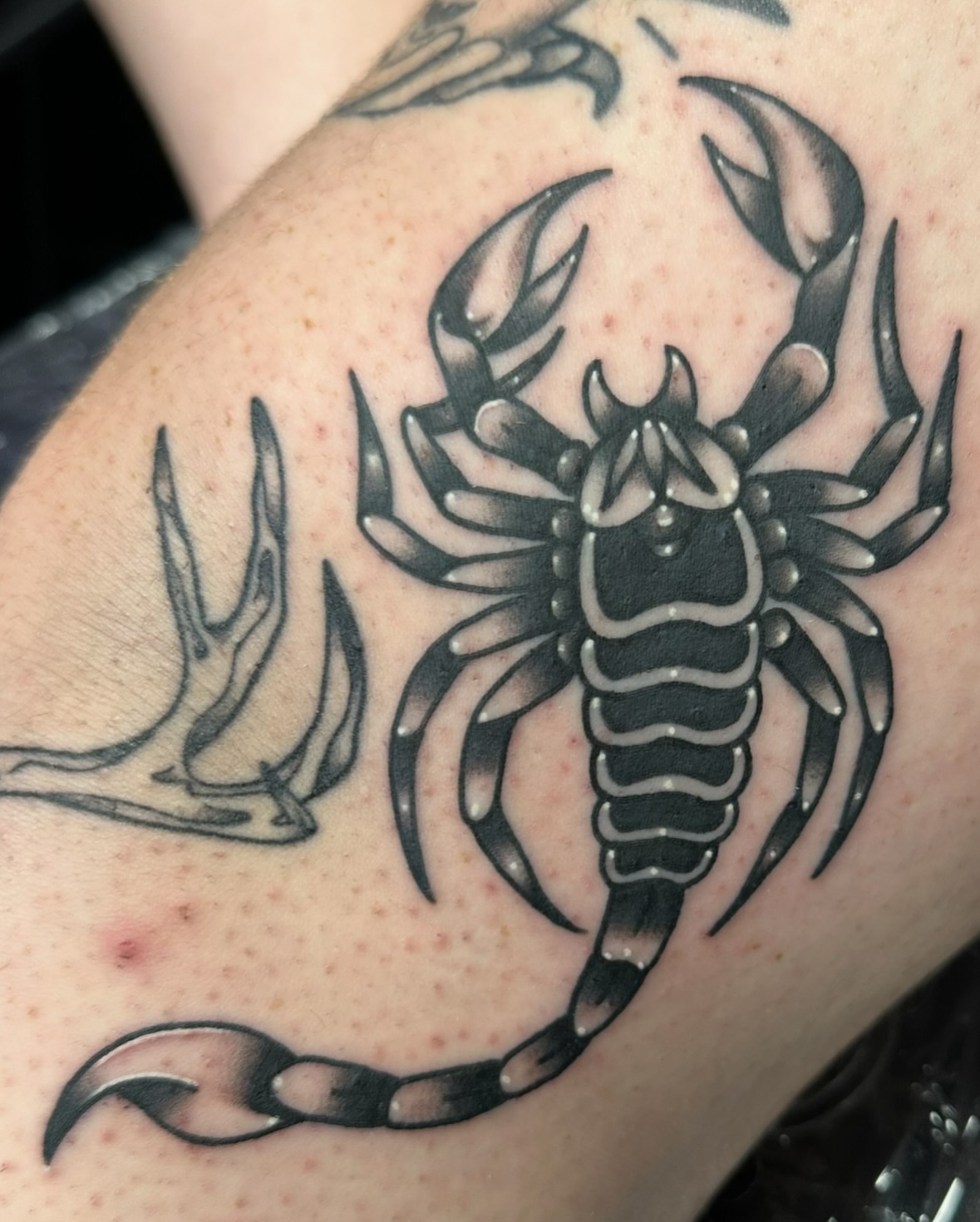 Scorpion black and grey tattoo on the forearm by Ash Nicole Painterly, San Diego, California