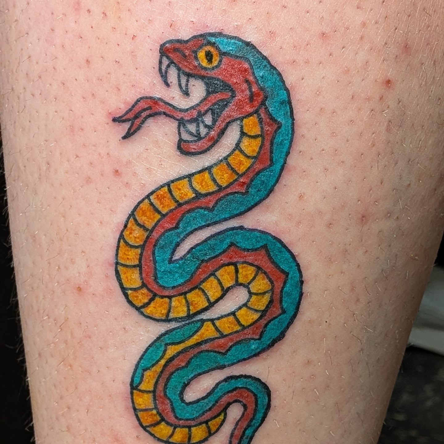 Snake American traditional tattoo on the upper arm by Kam