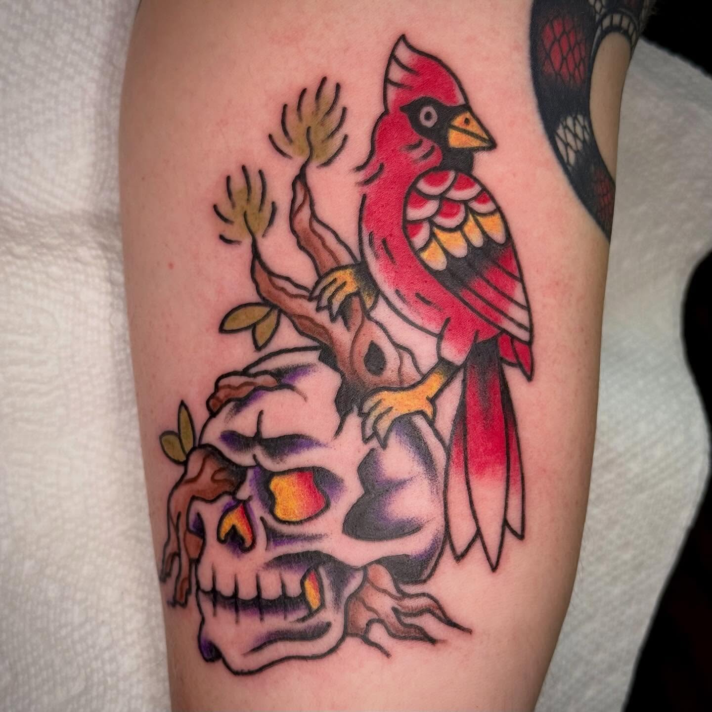 Cardinal and skull American traditional tattoo on the forearm by Ty Elias