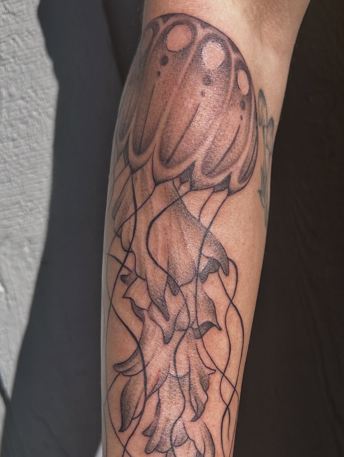Tattoo by @vanessa.kendyll — dotwork, realism