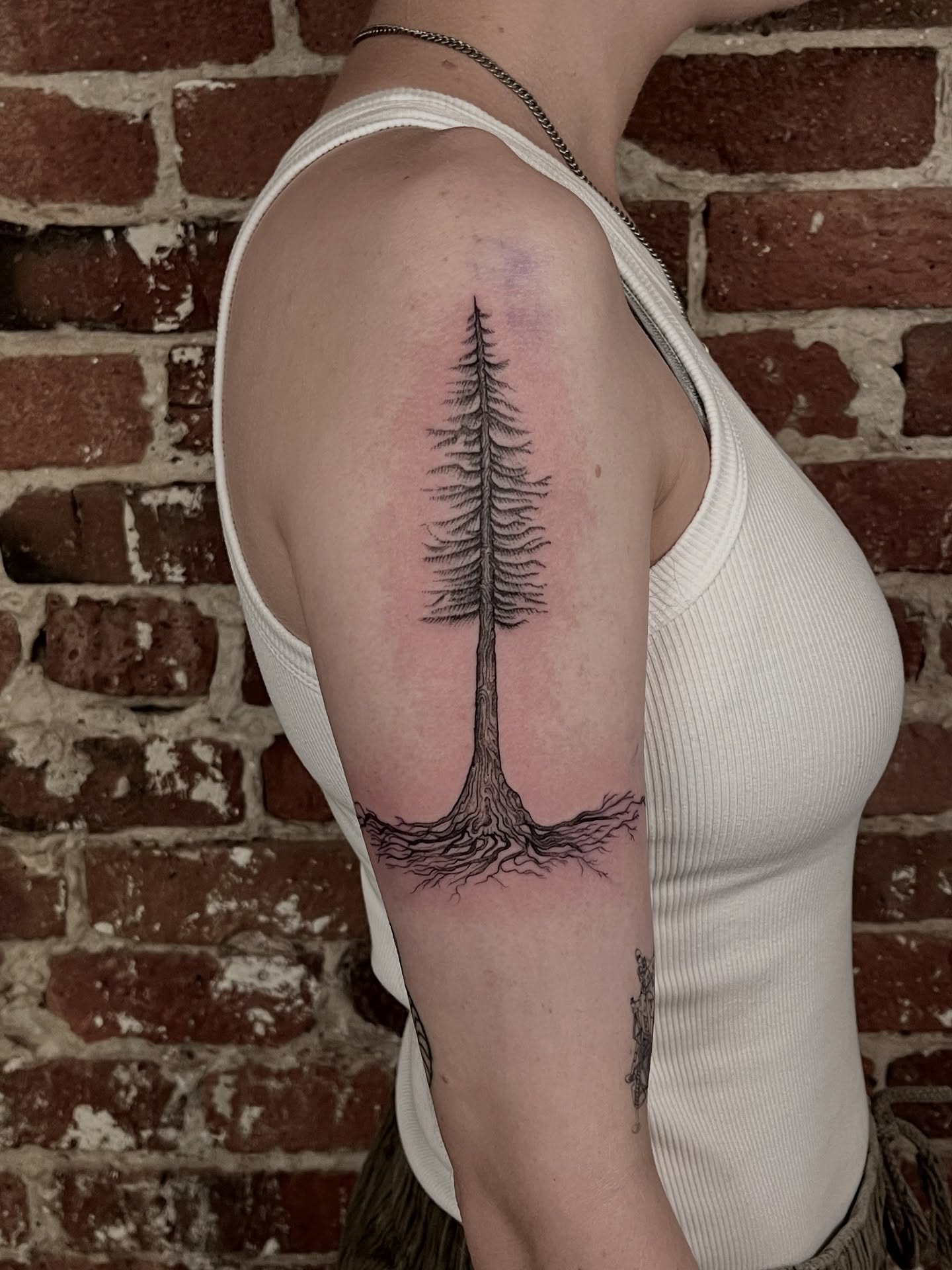 Pine tree black and grey tattoo on the upper arm by Lo Gwynn