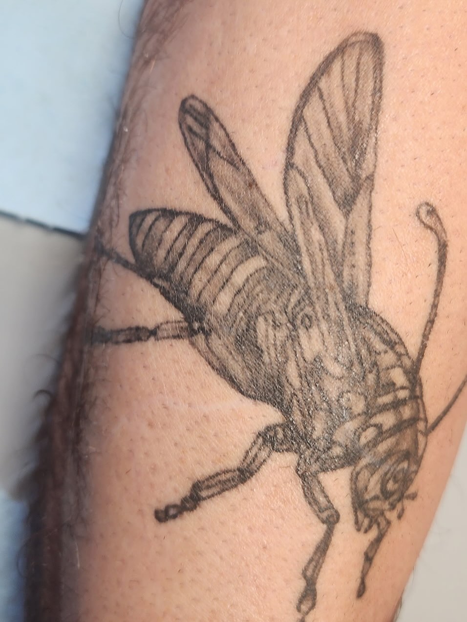 Tattoo by @rowanrhystattoo — black_and_grey