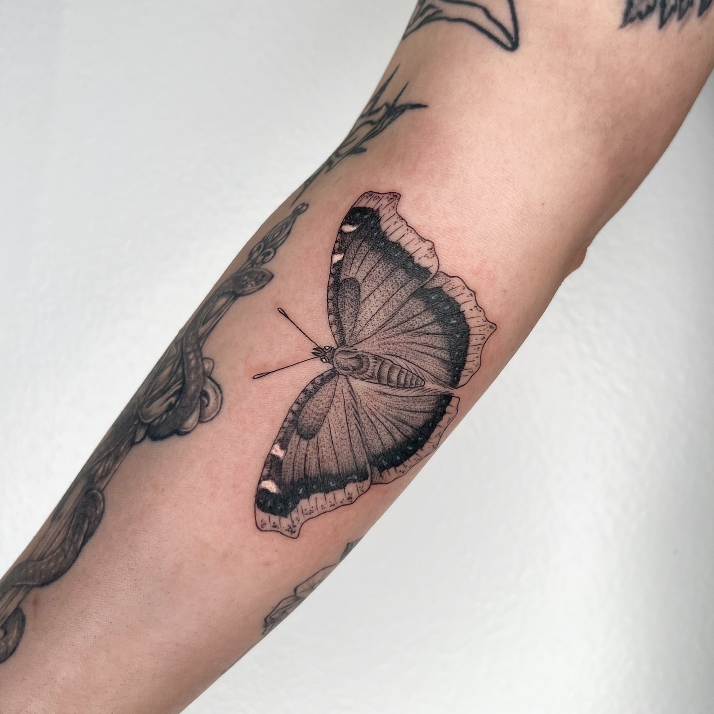 Tattoo by @sailorose_ — black_and_grey