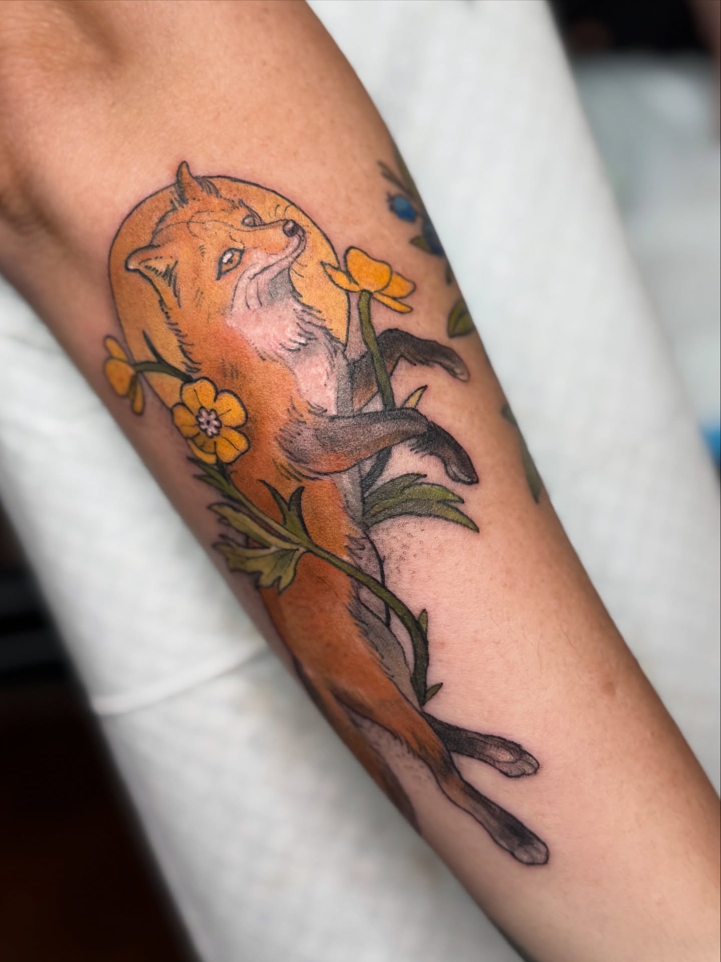 Tattoo by @scaledxwingstattoo โ american_traditional, realism