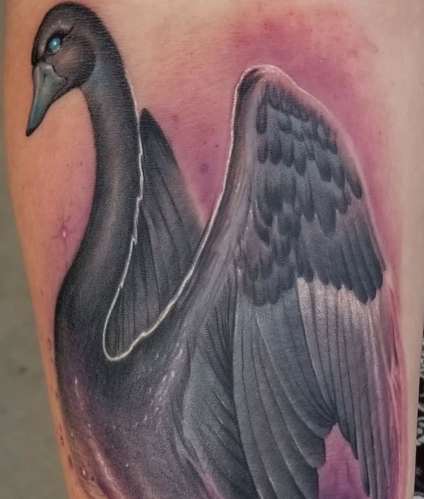 Bird realism tattoo on the forearm by Rick Rayne