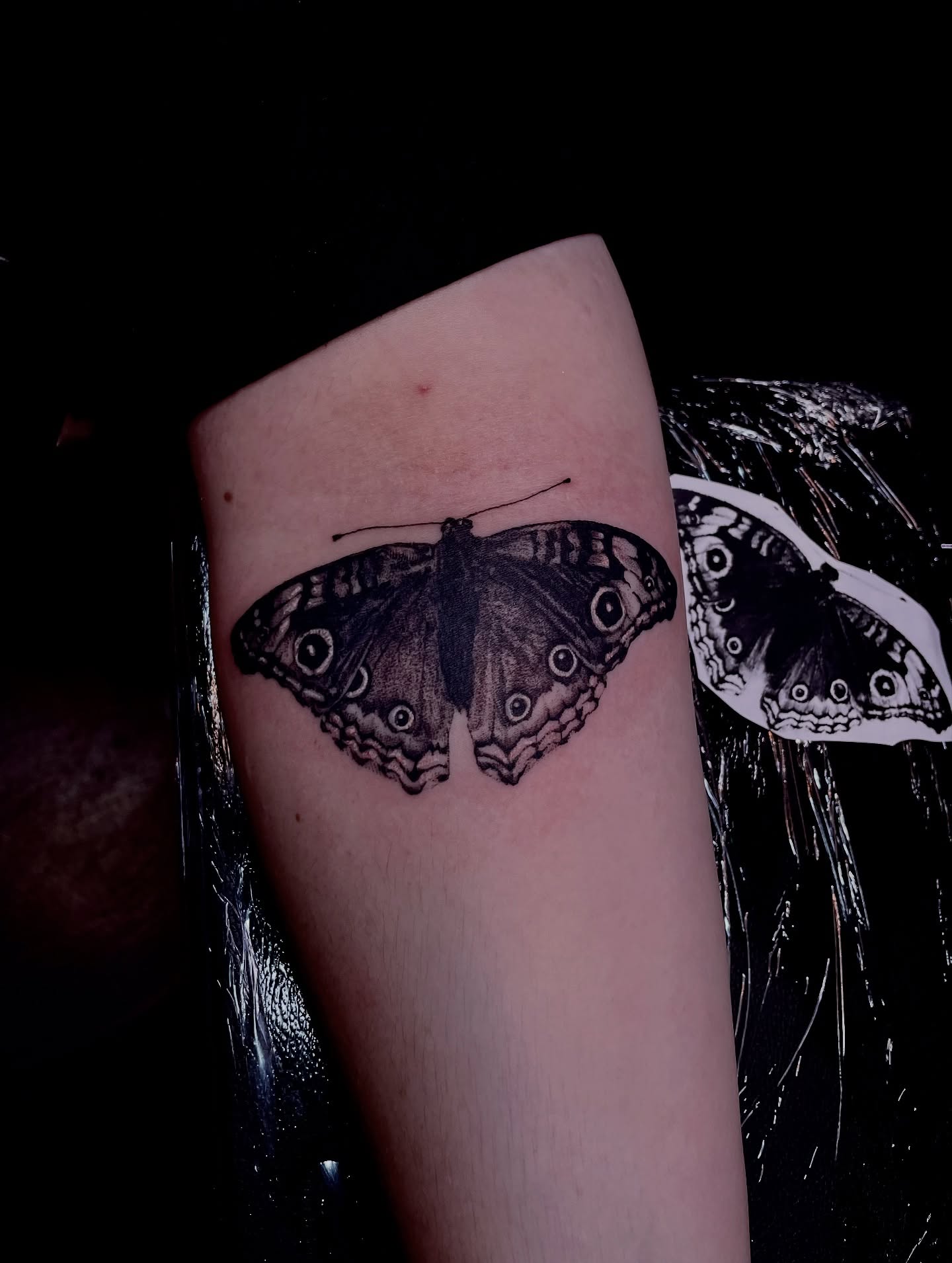 Butterfly black and grey tattoo on the forearm by ✧Lee Ortiz