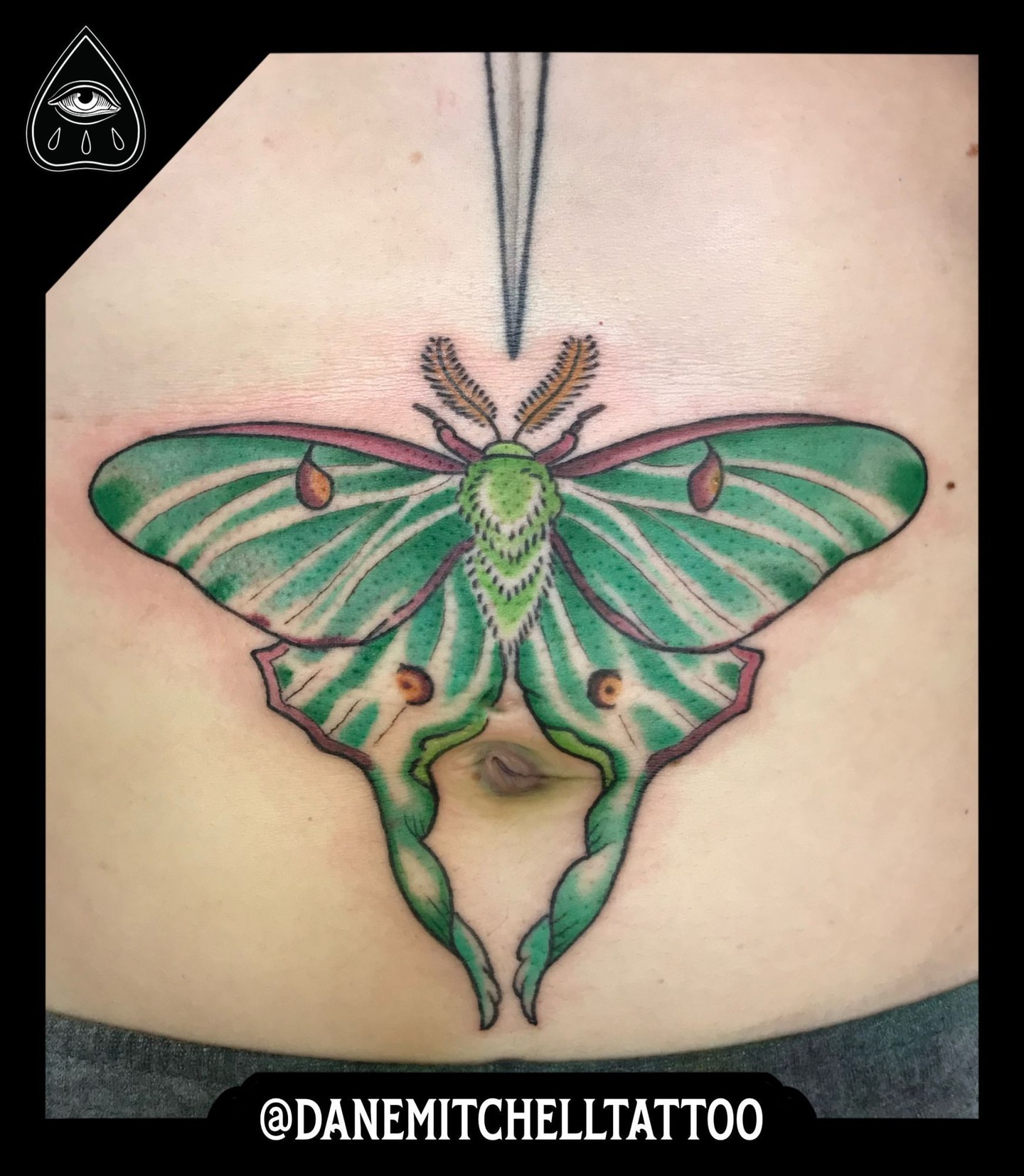 Tattoo by @danemitchelltattoo — realism