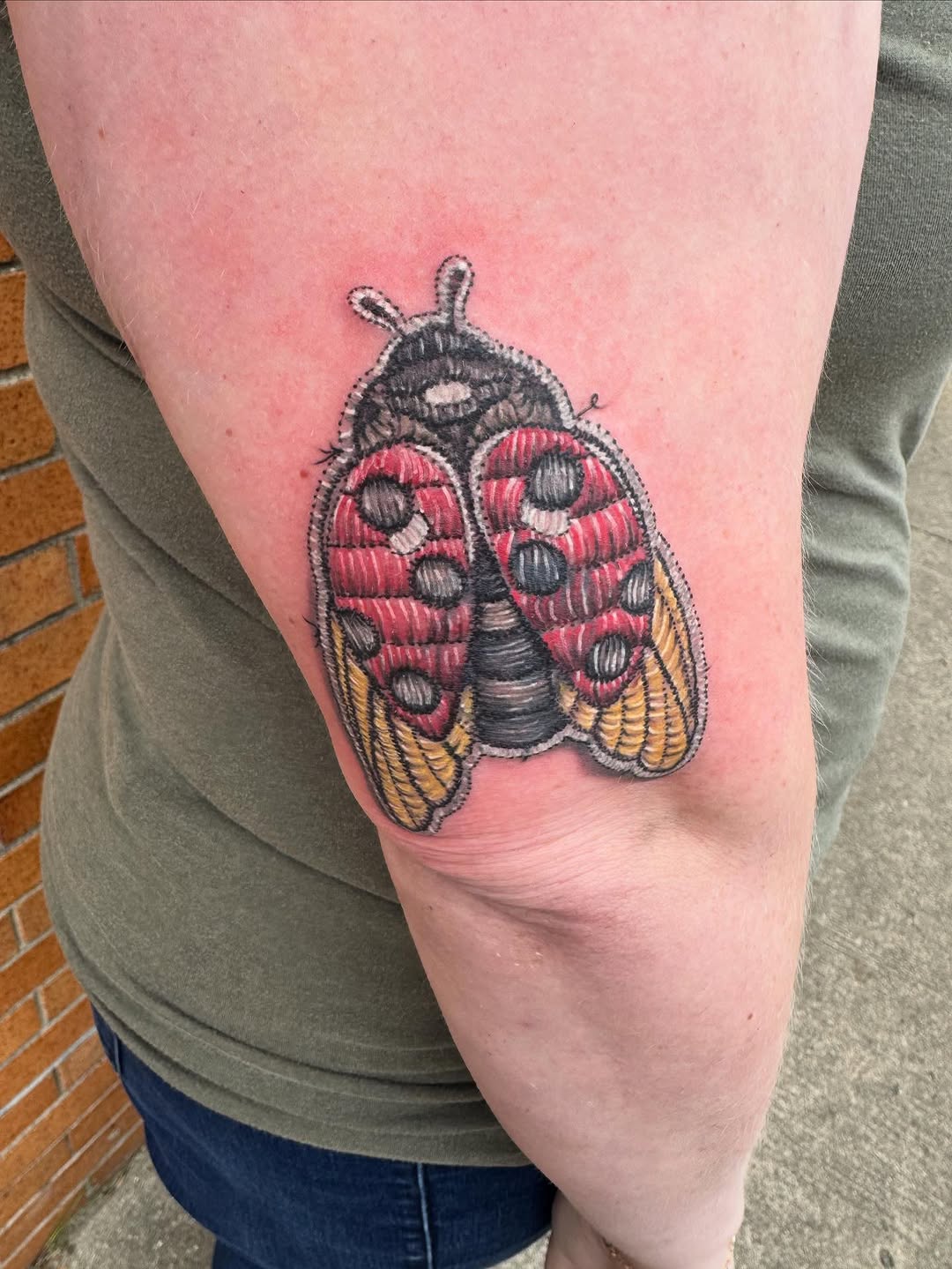 Tattoo by @tattoosbyjacklyn — illustrative, blackwork