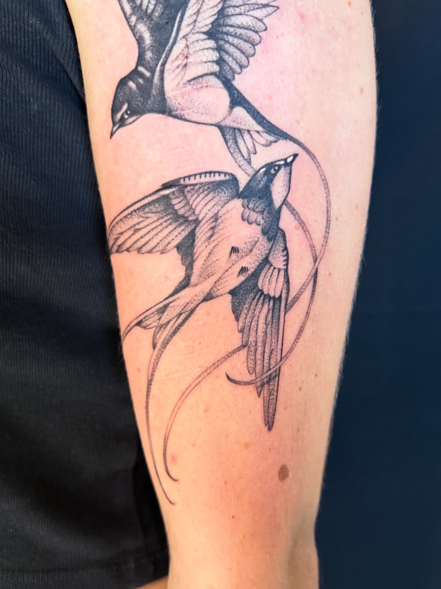 Tattoo by @milesromerotattoos — black_and_grey