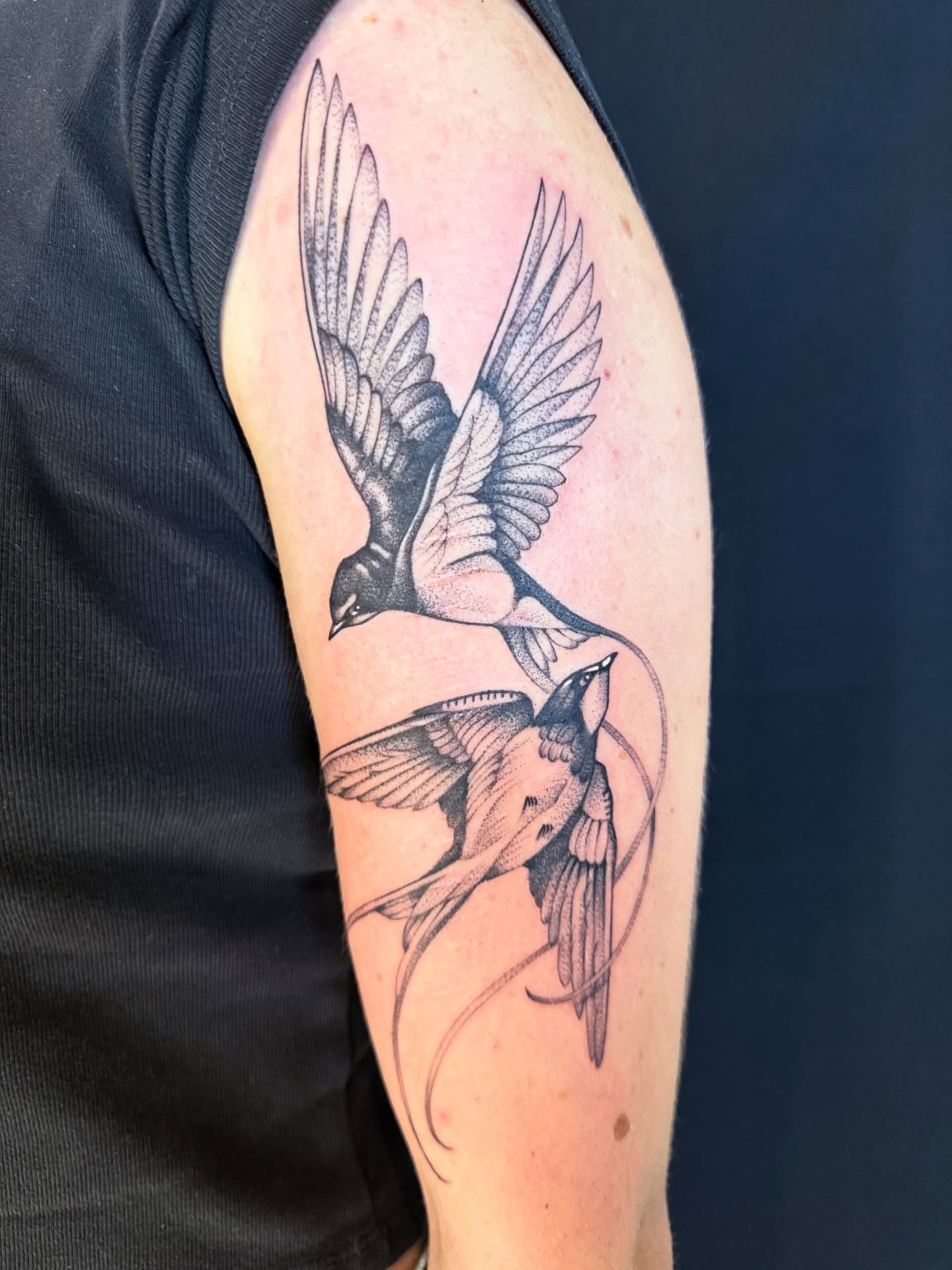Swallows realism tattoo on the upper arm by Miles Romero Smith