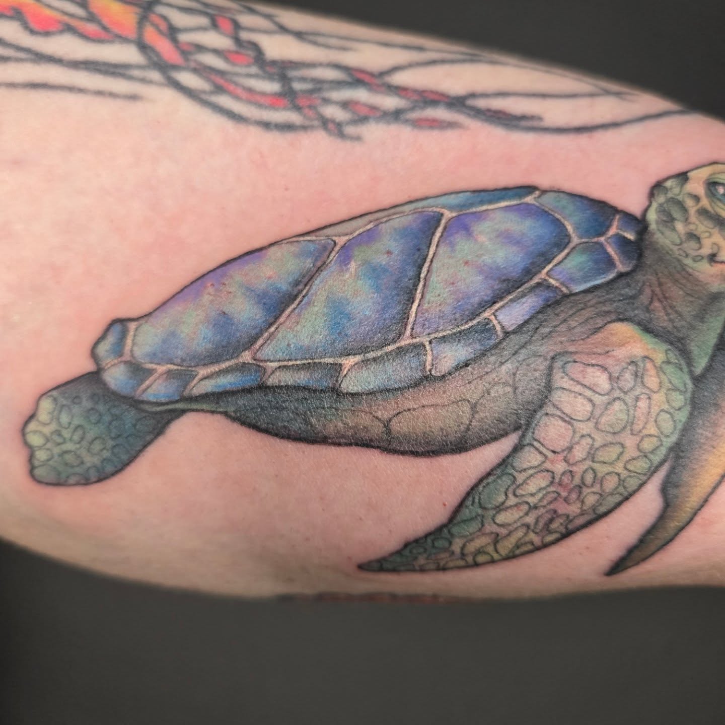 Tattoo by @robinmatztattoos โ realism