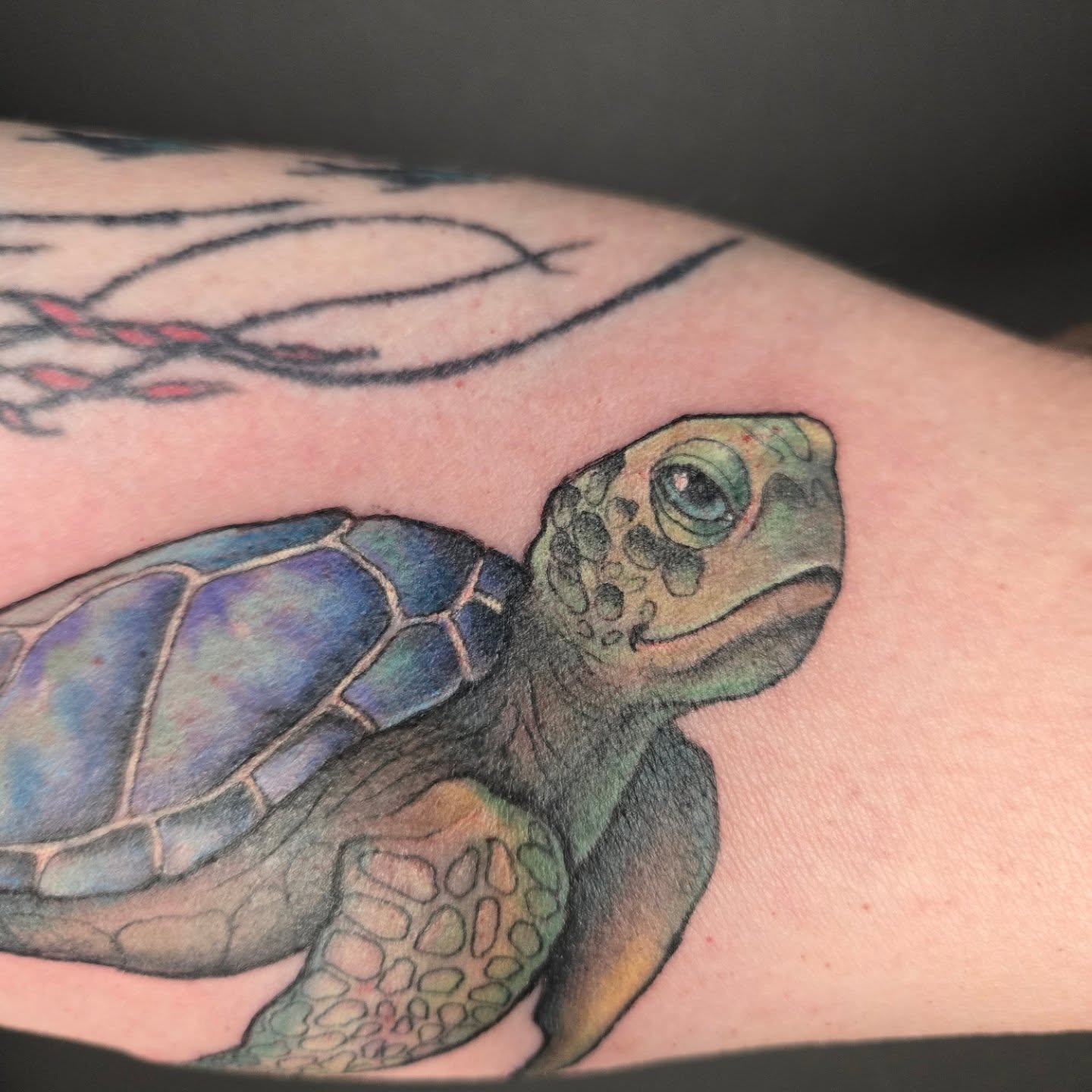 Tattoo by @robinmatztattoos โ realism