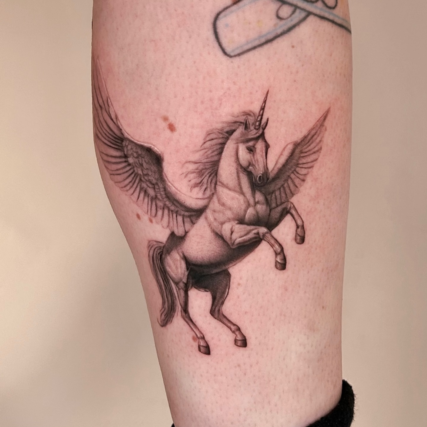 Pegasus realism tattoo on the forearm by Longtea